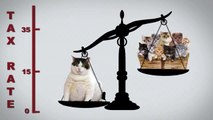 Tell Mitt Romney:  Kittens Are Cute.  1% Fat Cats?  Not So Much.