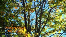 Richard Clayderman - Les Feuilles Mortes (Autumn Leaves)