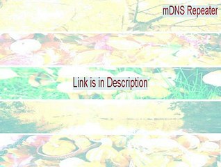 mDNS Repeater Serial - Instant Download 2015