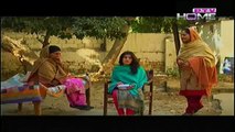 Googly Mohalla Episode 5 on Ptv Home - World Cup Special Play