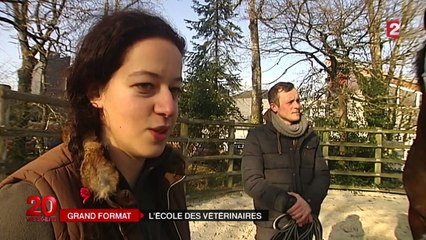 Vétérinaire : un métier de passion