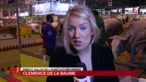 Les vétérinaires indispensables au Salon de l'Agriculture