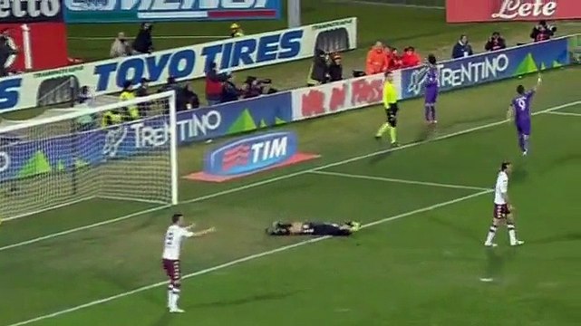 Fiorentina 1 - 1 Torino - Serie A goals and higlights - 22-02-2015