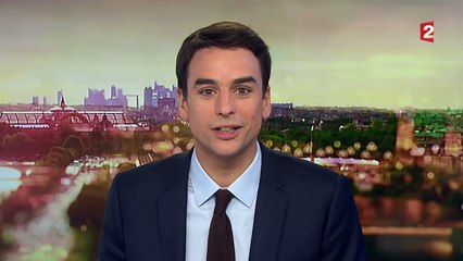 Jean-Yves le Drian en Inde pour convaincre d'acheter le Rafale