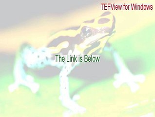 TEFView for Windows Key Gen (Legit Download)