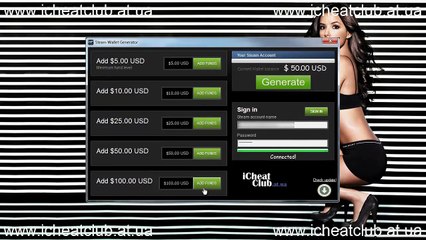 Steam Porte-monnaie argent Générateur 2015 Français