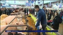 Le Salon de l’Agriculture, l’occasion de se retrouver entre exposants