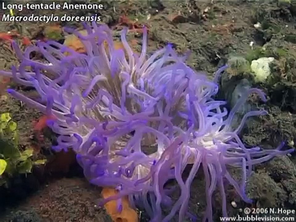 Seraya Secrets, Bali