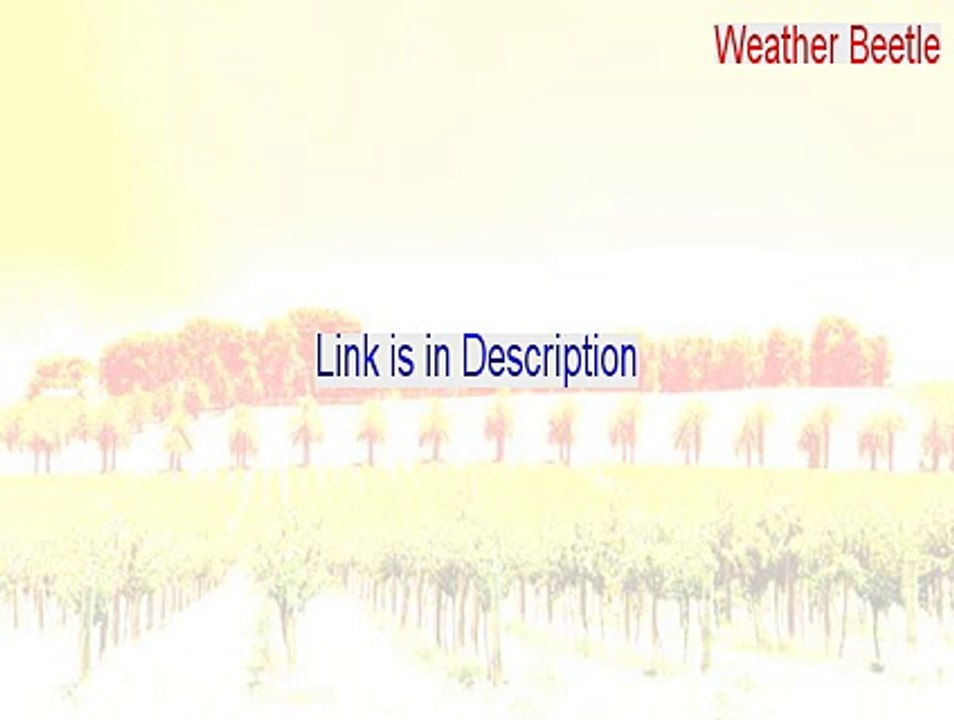 Weather Beetle Free Download [Instant Download]