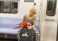 Parrot Commutes on the New York Subway