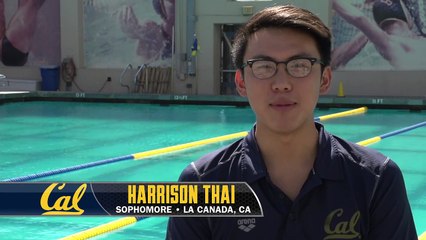 Cal Men's Swimming Bio: Harrison Thai