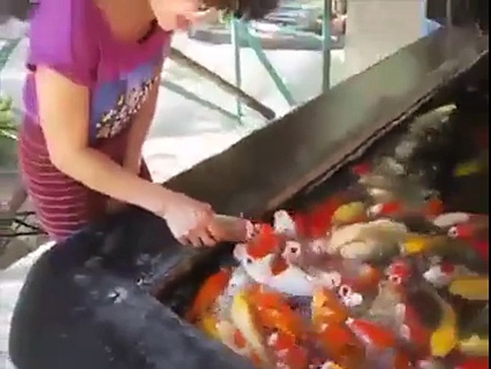 playing with fish