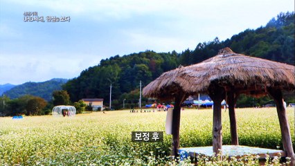 UHD시대, 현실을 보다 1부