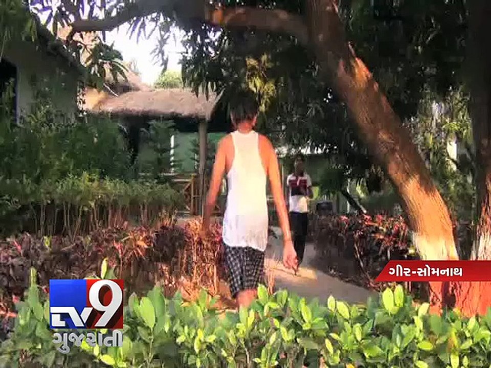 Gir-Somnath: Notices to 57 illegal hotels, resorts after HC orders - Tv9 Gujarati