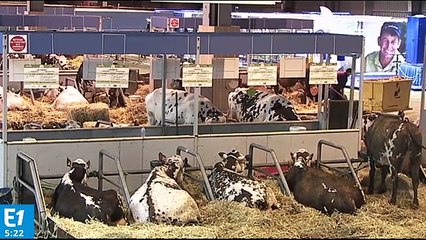 "Le bio est de plus en plus tendance"