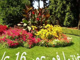 دخلت مره فى جنينه - عفاف راضى