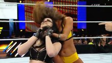 Paige Vs Nikki Bella