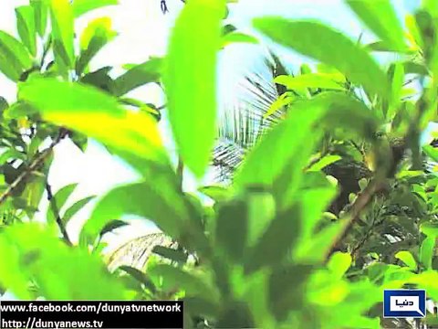 Dunya News - MET Dept forecasts rains in various cities of country