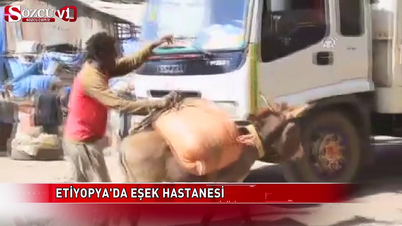 Etiyopya'da eşek hastanesi