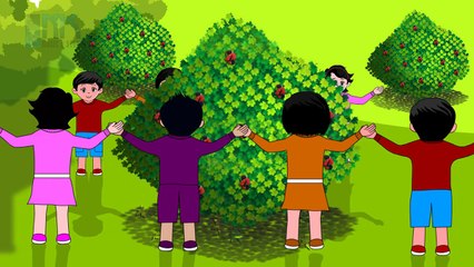 Here We Go Round The Mulberry Bush - Nursery Rhyme