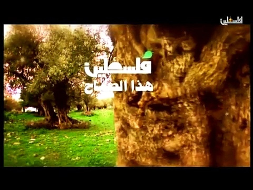 فلسطين هذا الصباح ج1 - 23/2/2015