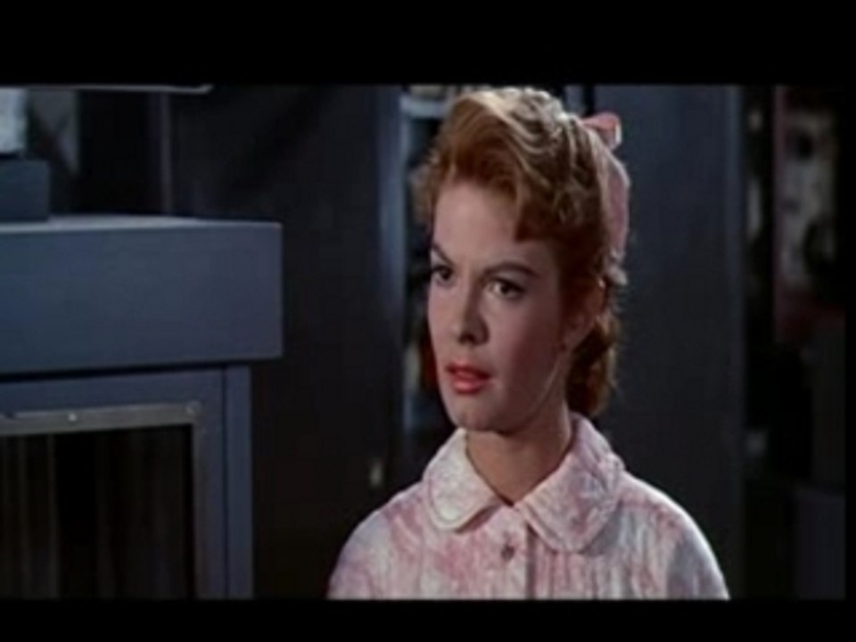 la mouche noire; the Fly