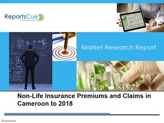 Non-Life Insurance Market in Cameroon - Analysis, Size, Share, Premiums, Claims and Forecast to 2018