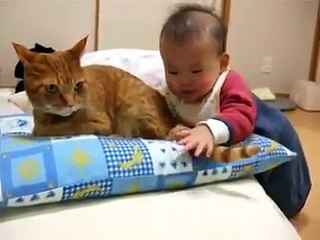 Funny Asian Baby Is Eating Cat's Tale