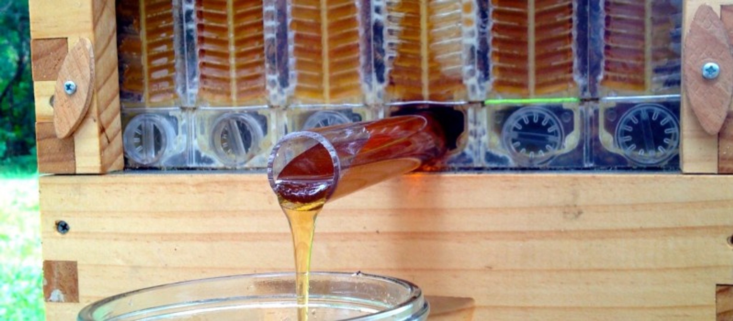 Flow Hive : pour récolter du miel sans déranger la ruche - Vidéo Dailymotion