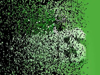 Get Pet Care Supplies in Australia Online