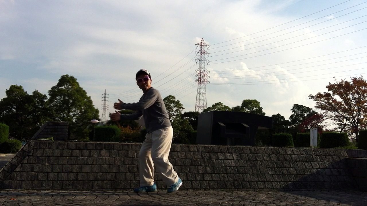 wolfy dance,ウルフィダンス、踊ってみた、odottemita(.（IMG_0458