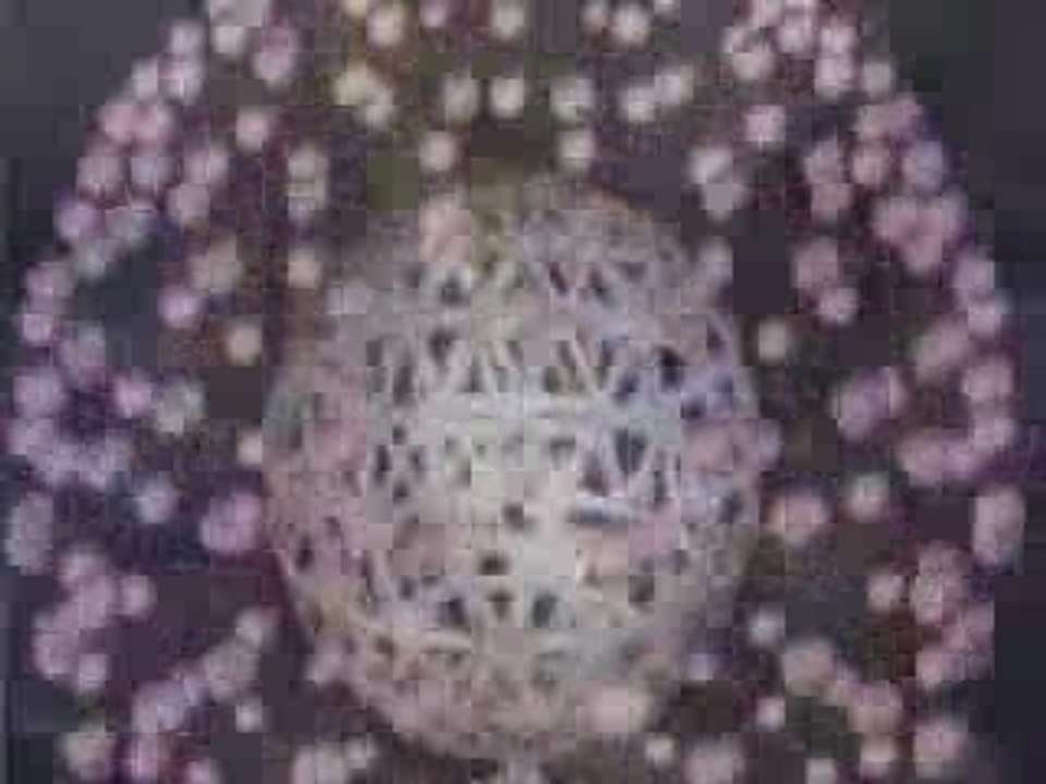 Madonna Bootleg "Music"