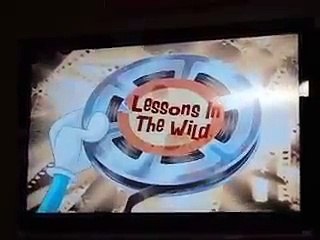 cartoon best New    Zig and Sharko Oggy and the Cockroaches   Disney Channel International