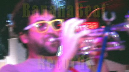 Body Language by The Pigeons Live Performance