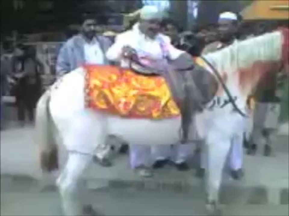 Dolha Chara Gorhe Te / Funny Video