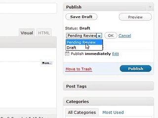 WordPress Tutorial  -01 -  Posting