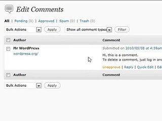 WordPress Tutorial  -06 -  Comments