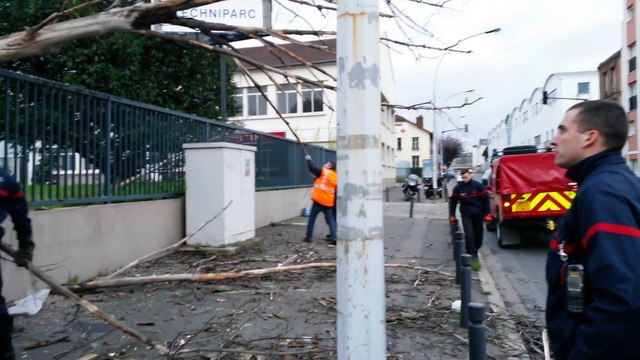 Intervention des pompiers sur arbre tombé sur la rue du Landy (niveau 166)