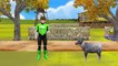 Green Lantern Cartoon Baa Baa Black Sheep Nursery Rhymes for Children | Baa Baa Black Sheep Rhymes