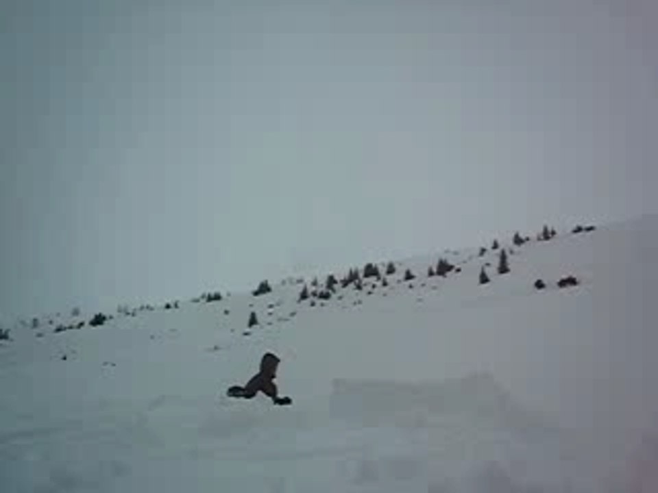 MVI_0725