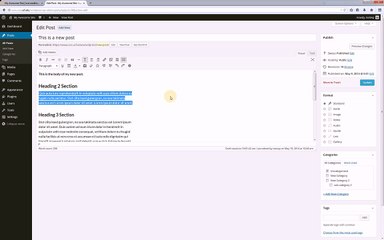WordPress Tutorial WordPress Editor