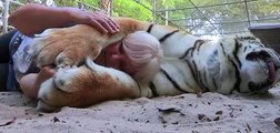 Florida Woman Keeps Bengal Tigers In Her Garden