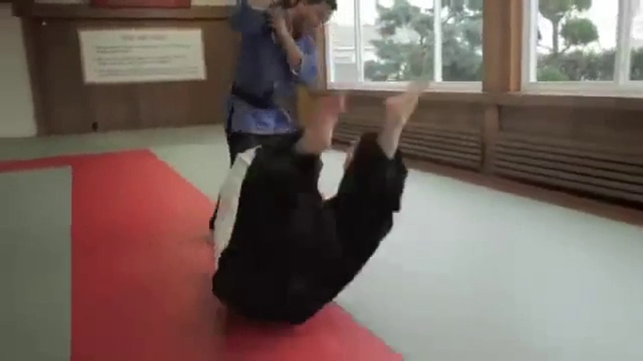 jujitsu vs aikido