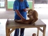 Monkey Pushups