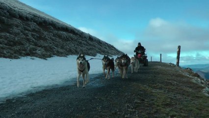 Entraînement chien de traîneau Iraty / Iratin entrenamendu bat gure lera xakurrekin