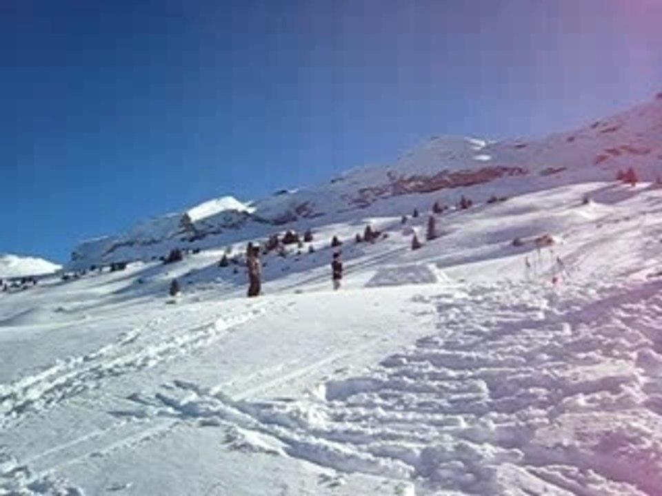 MVI_0754
