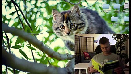 Beginner WordPress Tutorial (Free 90-Minute eCourse) (Low)