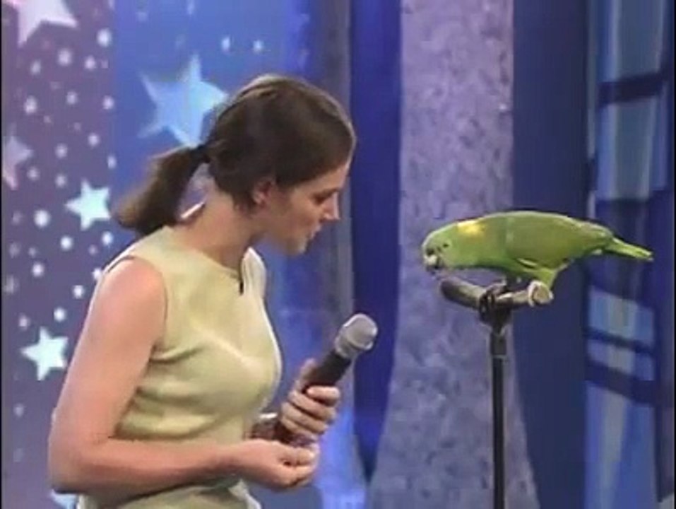 Unbelievable-Singing-Parrot