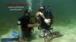 belajar diving menyelam 09 Air Depletion Alt Air combined, Skill # 9.mpg-0009
