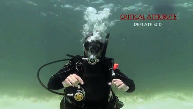 belajar diving menyelam 15 Hover, Skill # 15.mpg-0015